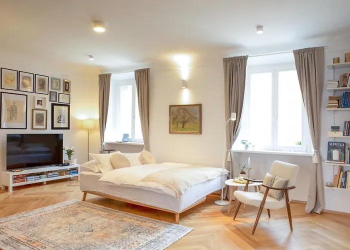 Stylish In Historical Center Lublana